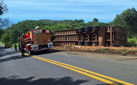 Motorista morre após caminhão carregado com bois capotar