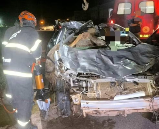 Motorista e três cavalos morrem em acidente na MT-170