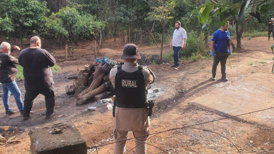 Abatedouro clandestino é fechado e 40 cavalos são resgatados