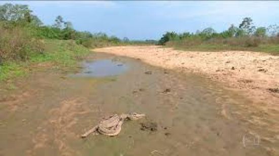 Brasil entra em 2025 sob risco de nova crise hídrica com alerta máximo no Pantanal