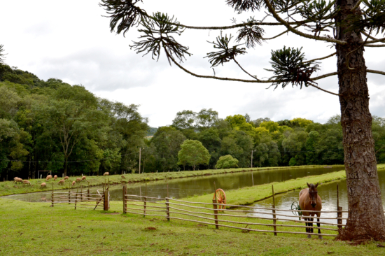 Comissão de Turismo aprova política nacional para fortalecer o turismo rural sustentável