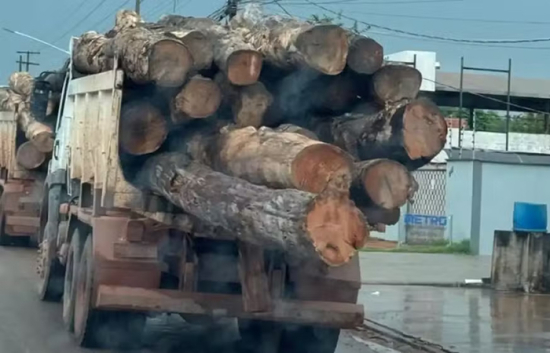 Prefeitura é multada por armazenamento ilegal de madeira nativa para construção de pontes em município de MT