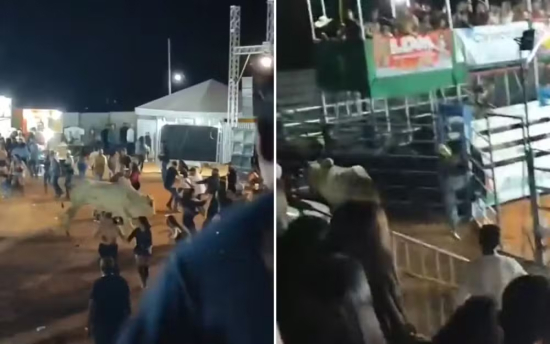 Touro escapa de curral e assusta público durante rodeio 