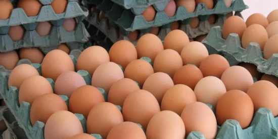 Governo rastreia e determina destruição de ovos de granja com caso de gripe aviária no RS