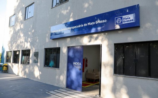  Exame descarta suspeita de gripe aviária em Mato Grosso