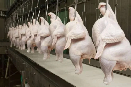 Caso de gripe aviária no RS derruba preços da carne de frango no mercado interno