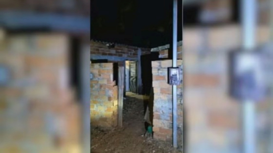 Cachorro fiel denuncia silêncio e leva polícia ao corpo da tutora