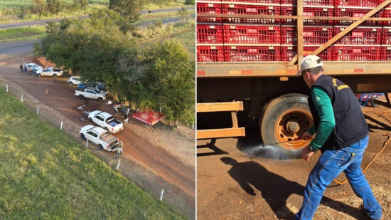 Gripe aviária em Goiás: mais de 100 aves mortas e área entra em quarentena