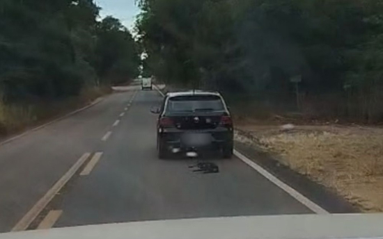 Cachorro é filmado sendo arrastado por carro na GO-154