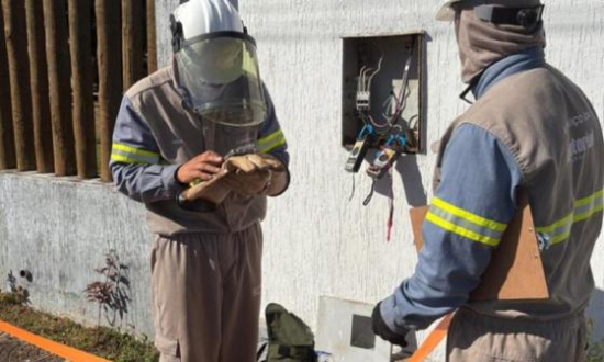 Polícia Civil deflagra Operação “Gato Ligero” contra furto de energia em Aragarças
