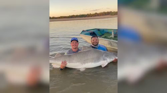 Pescador fisga piraíba de 2,06 metros no Rio Araguaia e destaca importância da preservação