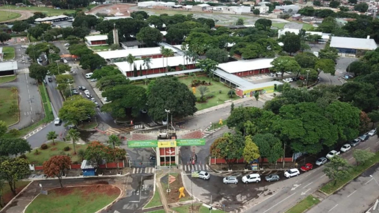 Detran-GO alerta para golpes de leilões falsos divulgados em sites e perfis nas redes sociais