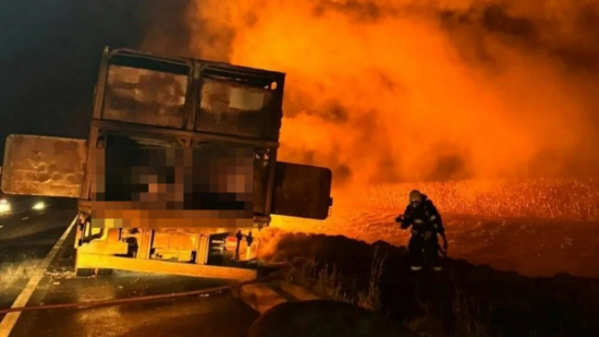 Incêndio em caminhão que transportava porcos mobiliza bombeiros na BR-060, em Goiás