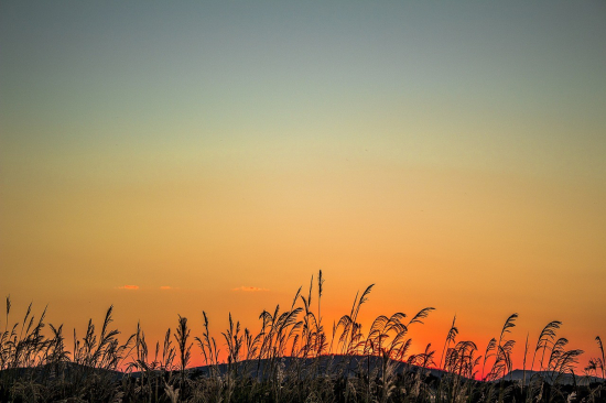 Fim de semana em Mato Grosso terá sol forte e umidade do ar crítica, alerta Inmet