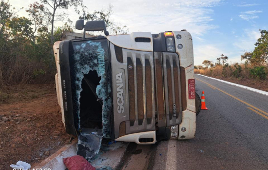 Carreta com bois tomba na BR-070 e indígenas tentam saquear carga