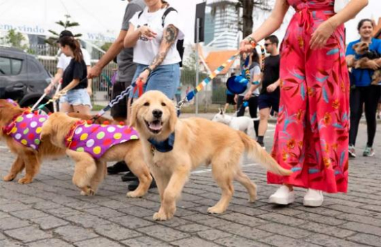 Barra do Garças terá a 3ª edição da Cãorrida e da Cãominhada