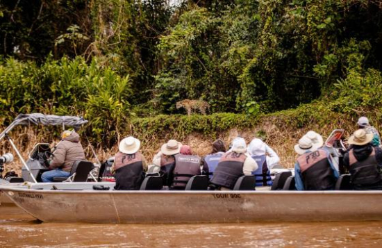 Missão do Governo de Mato Grosso visita África do Sul para estruturar modelo de safári no Pantanal