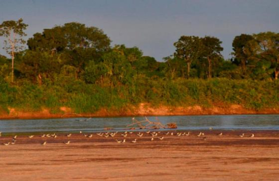 Rio Araguaia atinge menor nível histórico para agosto, indica centro meteorológico