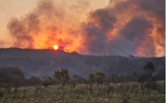 Prefeitura decreta estado de emergência em razão de incêndio no Parque Serra Azul