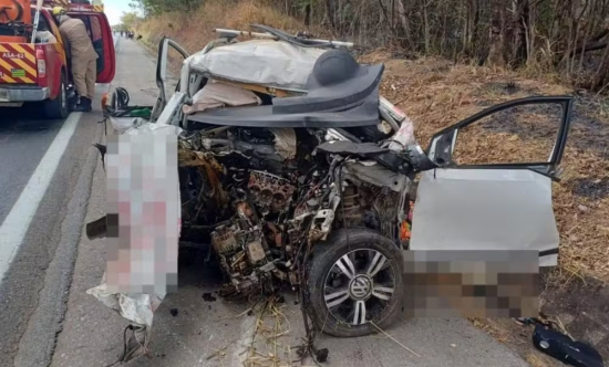 Advogada e ativista da causa animal morre em acidente na BR-040