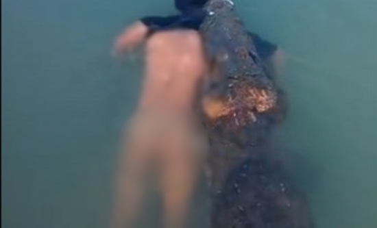 Crocodilo mata homem no México e nada no rio com o cadáver