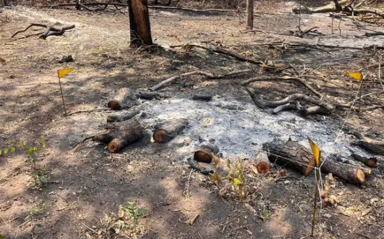 Perícia aponta que incêndio no Parque Serra Azul, em Barra do Garças, foi criminoso