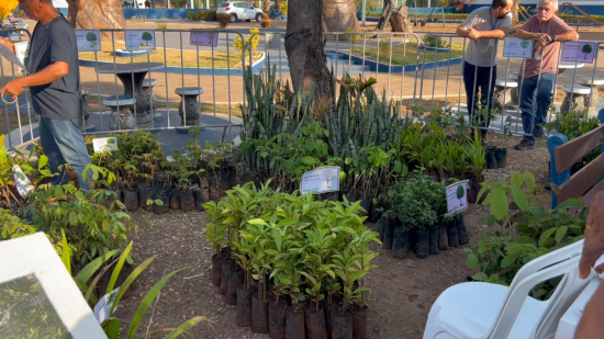 Aragarças recebe 650 mudas em ação do programa Deputados Aqui