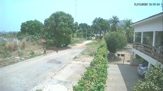 Homem é detido por crime ambiental após causar incêndio no Parque Serra Azul