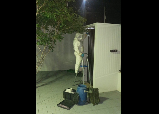 Corpo de Bombeiros remove enxame de abelhas que estava em residência