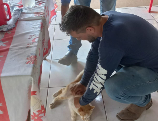 Campanha de Vacinação Antirrábica será realizada neste sábado em Aragarças