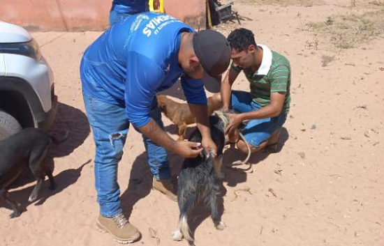 Campanha de Vacinação Antirrábica será realizada neste sábado em Aragarças