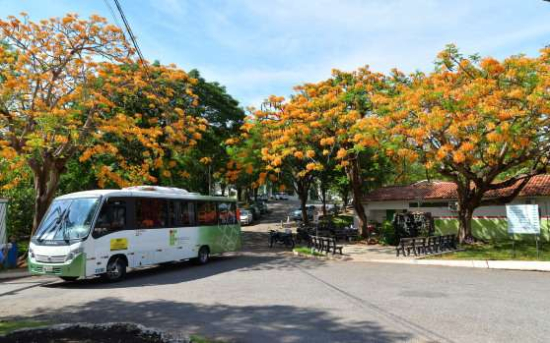 IFMT Barra do Garças abre vagas para curso Técnico em Inteligência Artificial Integrado ao Ensino Médio