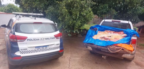 Motorista é preso em Torixoréu por transportar carne abatida ilegalmente na MT-100